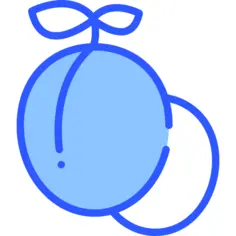李子