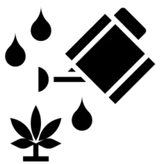 大麻