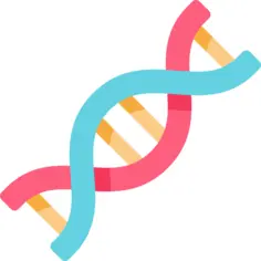 脱氧核糖核酸