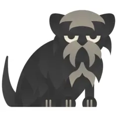 Affenpinscher