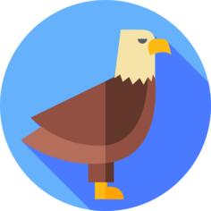 Eagle