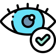 Eye