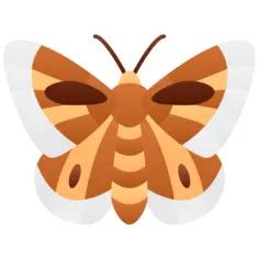 蝴蝶