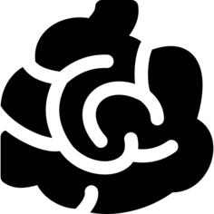 小肠