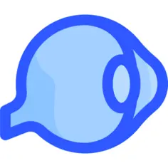眼睛