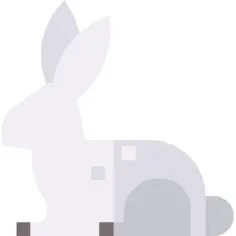 兔子
