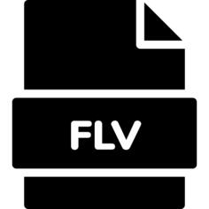 FLV文件