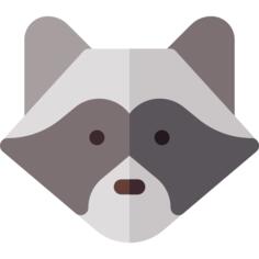 Raccoon
