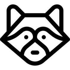 Raccoon