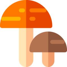 Mushrooms