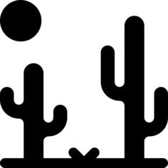 Desert