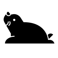 Seal