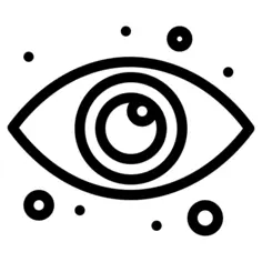 Eye