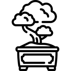 Bonsai