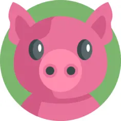 Pig