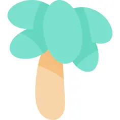 Palm tree