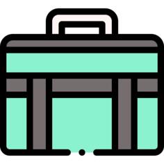 载体