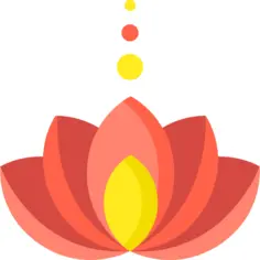Lotus flower