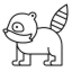 Raccoon