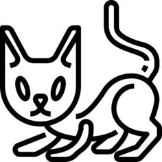 猫
