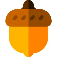 Acorn