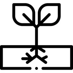 树叶