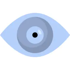 Eye