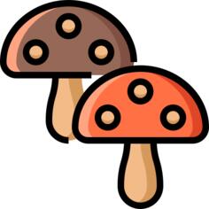 Mushroom