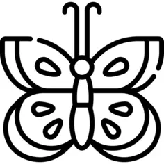蝴蝶