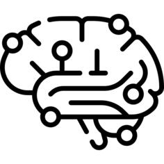 Brain
