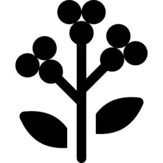 Berries