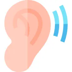Ear