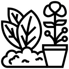 Herb