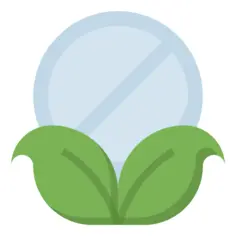 Herb