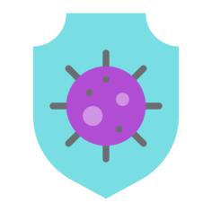 Bacteria