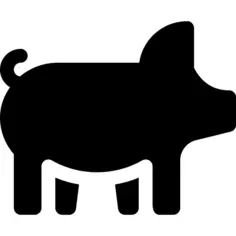 Pig