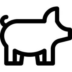 Pig