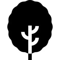 Linden