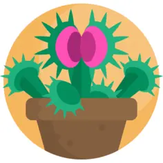 Plant