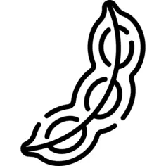 毛豆