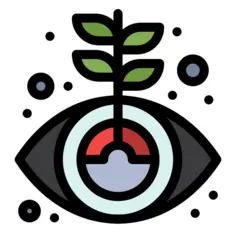 Growth