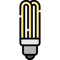 Bulb