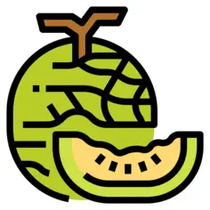 Melon