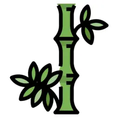 Bamboo