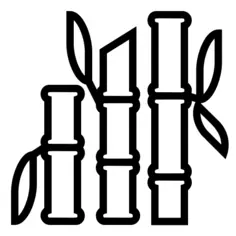 Bamboo