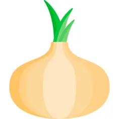 Onion