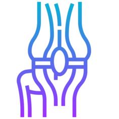 Knee joint