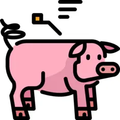 Pig