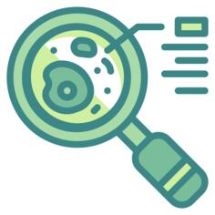 Magnifier