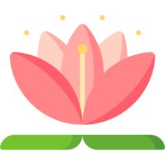 莲花